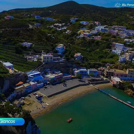 Bluponza Amador *