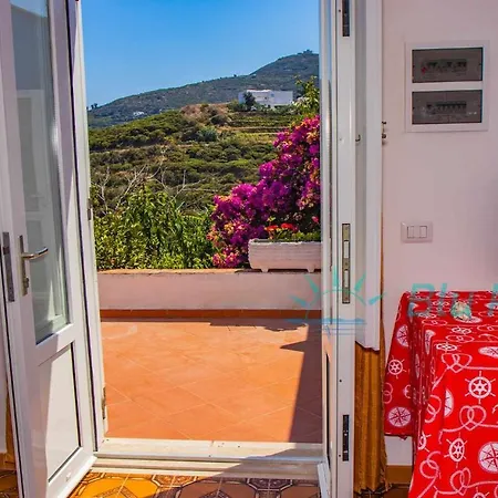 Bluponza Amador * Πόντσα
